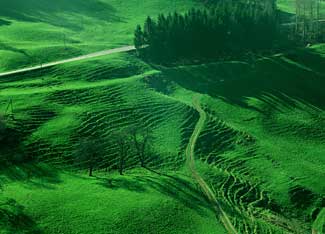 Landschafts Impression / 14 Kb