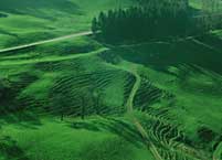 Landschaftsimpression